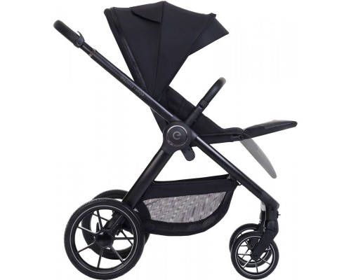 Коляска Espiro 2 в 1 Yoga 119 Assana Lotos (5905683801171)