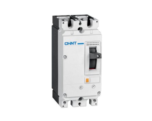 Автоматичний вимикач CHINT NM8NDC-125B-DC500V-2P