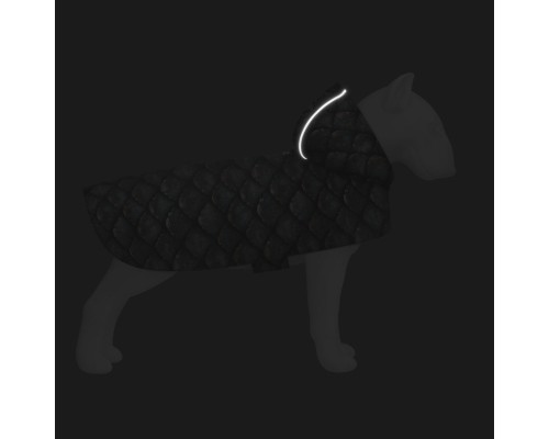 Дощовик для тварин WAUDOG Clothes з капюшоном 