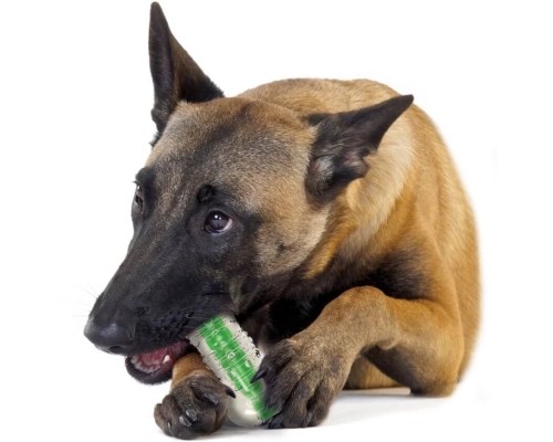 Іграшка для собак Petstages Crunchcore Хрумка кісточка 16 см (0871864002666)