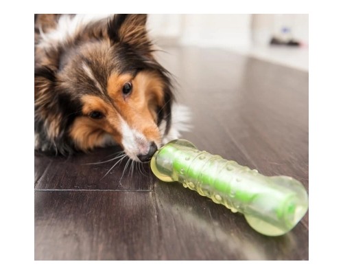 Іграшка для собак Petstages Crunchcore Хрумка кісточка 16 см (0871864002666)
