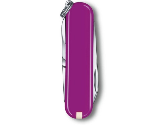 Ніж Victorinox Classic SD Colors Tasty Grape (0.6223.52G)