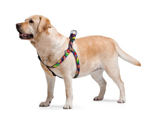 Шлея для собак WAUDOG Nylon з QR паспортом анатомічна 