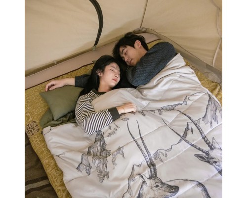 Спальний мішок Naturehike двомісний із подушками NH21MSD06 Green (6927595795330)