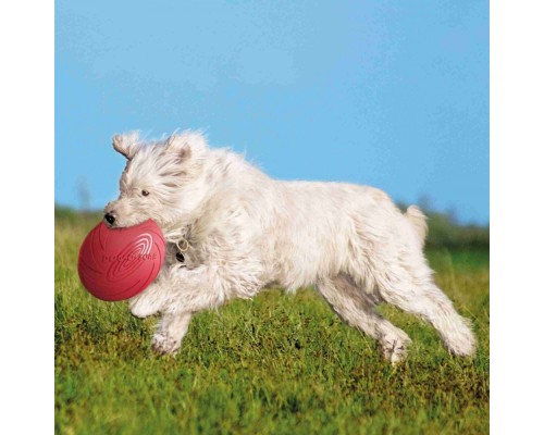 Іграшка для собак Trixie Activity Літаюча тарілка d:24 см (рожева) (4011905335032)