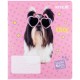 Зошит Kite Studio Pets, 12 аркушів, лінія (SP25-234)