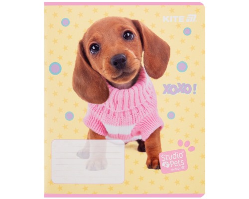 Зошит Kite Studio Pets, 12 аркушів, лінія (SP25-234)