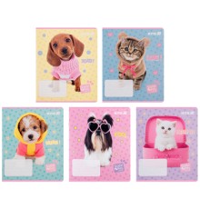 Зошит Kite Studio Pets, 12 аркушів, лінія (SP25-234)