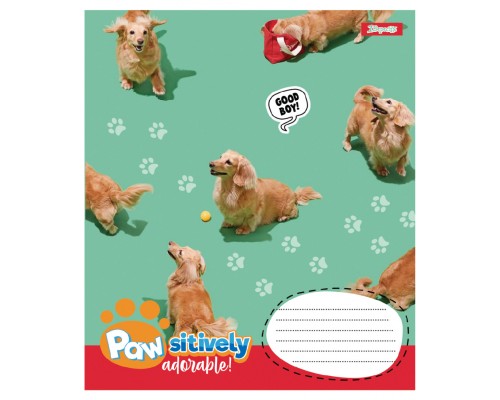 Зошит 1 вересня Pawsitively А5 12 аркушів клітинка (768235)