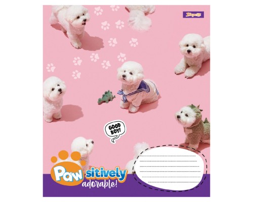 Зошит 1 вересня Pawsitively А5 12 аркушів клітинка (768235)