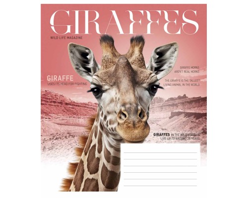 Зошит Школярик Fauna magazine 12 аркушів лінія (012-3428L)