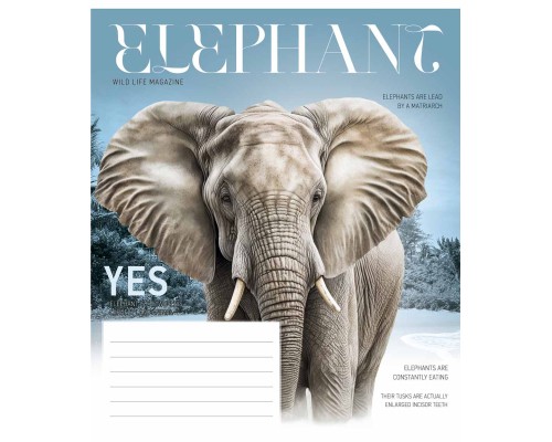 Зошит Школярик Fauna magazine 12 аркушів лінія (012-3428L)