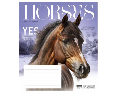 Зошит Школярик Fauna magazine 12 аркушів лінія (012-3428L)