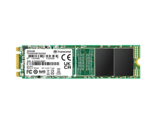 Накопичувач SSD M.2 2280 250GB Transcend (TS250GMTS825S)