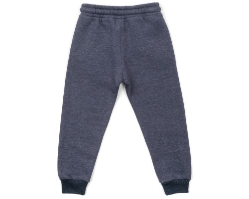 Штани дитячі Cloise флісові (CL0155013-104B-gray)