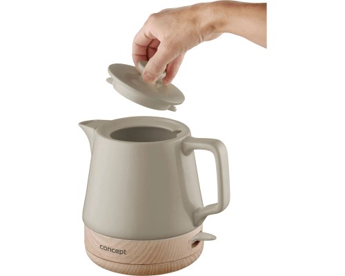 Електрочайник Concept RK0061