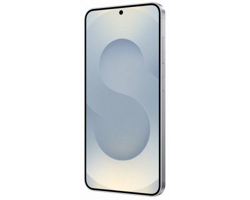 Мобільний телефон Samsung Galaxy S25 12/512Gb Silver Shadow (SM-S931BZSHEUC)