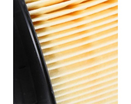 Повітряний фільтр для автомобіля Mann C16134/2