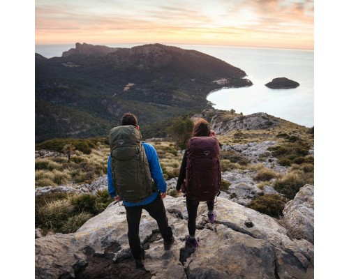 Рюкзак туристичний Osprey Kestrel 48 bonsai green - S/M - зелений (009.3311)