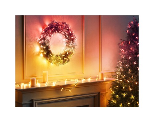 Гірлянда Twinkly Smart LED Strings USB 100 Candle-shaped RGB LEDs, Green Wire, USB-C, 6м (TWKC100RGB-G)