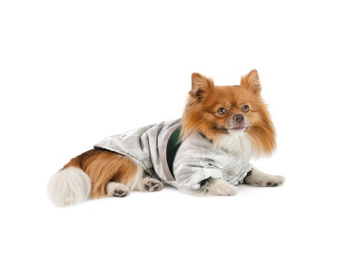 Курточка для тварин Pet Fashion Bony ХХS біло-зелена (4823082442874)