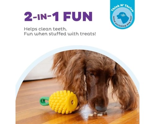 Іграшка для собак Outward Hound Ананас для ласощів (0700603714921)