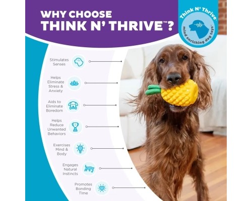 Іграшка для собак Outward Hound Ананас для ласощів (0700603714921)