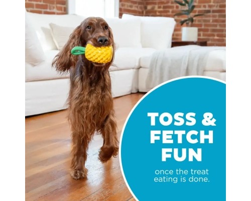 Іграшка для собак Outward Hound Ананас для ласощів (0700603714921)