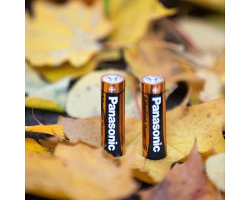 Батарейка Panasonic LR06 Alkaline Power * 20 (LR6REB/20BW) 