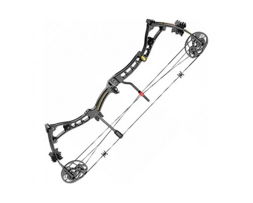 Лук Poe Lang Axis 30-70 LBS Black (C0-039B)