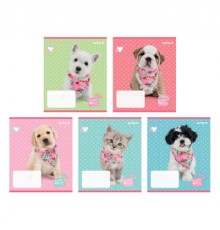 Зошит Kite Studio Pets, 12 аркушів, лінія (SP22-234)