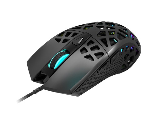 Мишка Canyon Puncher GM-20 USB Black (CND-SGM20B)