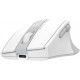 Мишка A4Tech FG35CS Plus Wireless White (4711421002998)