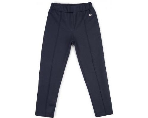 Штани дитячі Breeze трикотажные (11663-152G-blue)