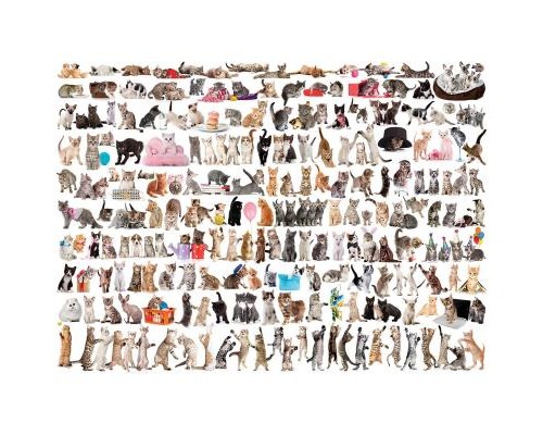 Пазл Eurographics Світ кішок 1000 елементів (6000-0580)