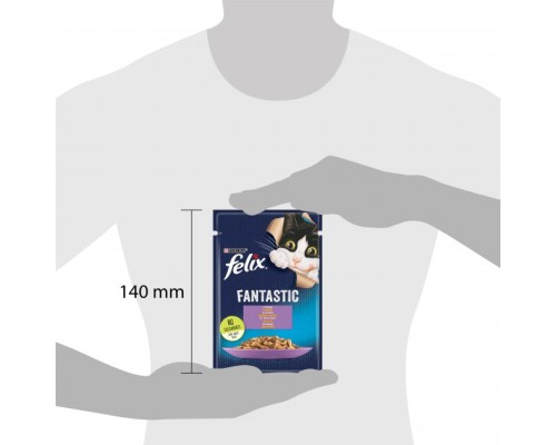 Вологий корм для кішок Purina Felix Fantastic з ягням у желе 85 г (7613039838969) Вологий корм для кішок Purina Felix Fantastic з ягням у желе 85 г (7613039838969)
