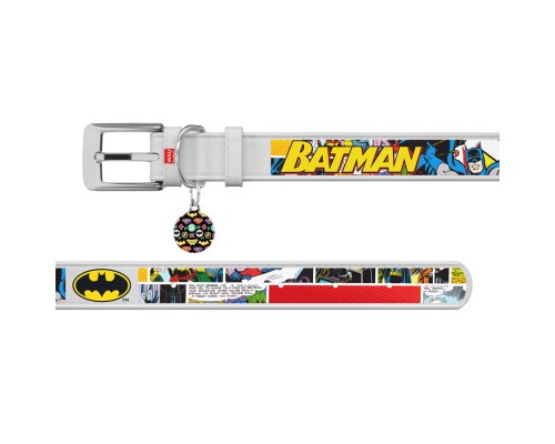 Нашийник для тварин WAUDOG Design з QR-паспортом 