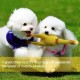 Іграшка для собак Nunbell Гумова з пищалкою Курка 40 см (YM0145)