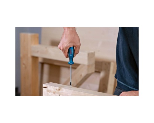 Викрутка Bosch T10x75мм (1.600.A01.V0A)