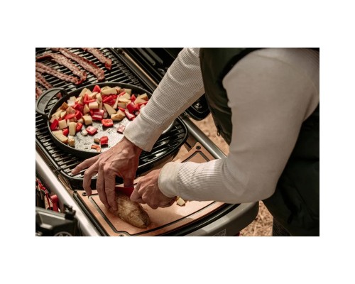 Гриль-барбекю Weber Traveler LP Stealth Black (9013075)