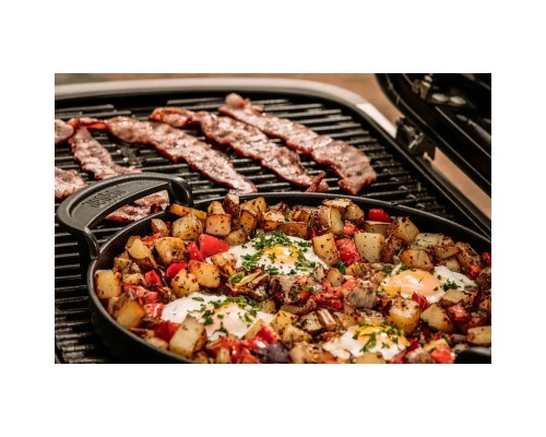 Гриль-барбекю Weber Traveler LP Stealth Black (9013075)