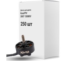 Двигун для дрона KaraFPV 2807 1300KV упаковка 250 шт. (1I20029BOX250)