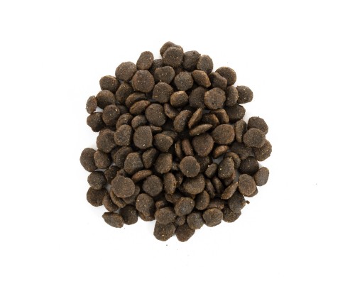 Сухий корм для собак Brit Care GF Mini Yorkshire 7 кг (8595602520213)