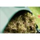 Аератор Bosch скарифікатор UniversalRake 900 (0.600.88A.001)