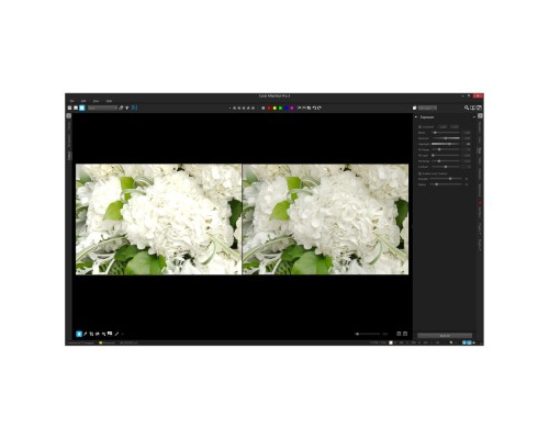 ПЗ для мультимедіа Corel AfterShot Pro 3 ML EN/DE Windows/Mac/Linux (ESDASP3MLPC)