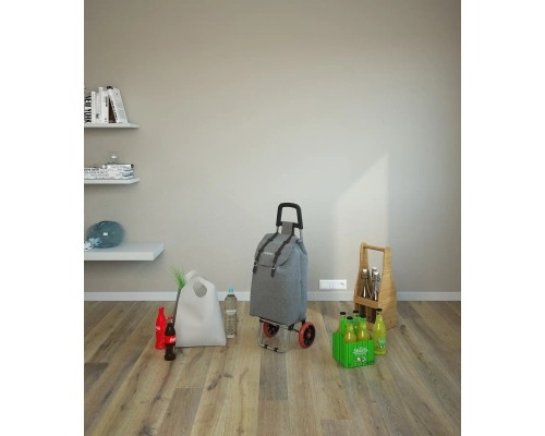 Сумка-візок Colombo Smart Grey (CRL002G) (930519)