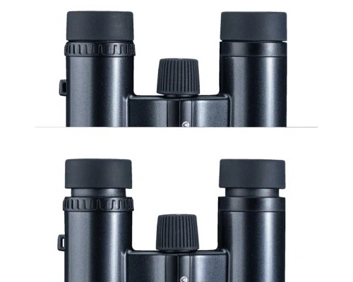 Бінокль Vanguard Vesta Compact 10x21 WP Black Pearl (Vesta 1021 BP)