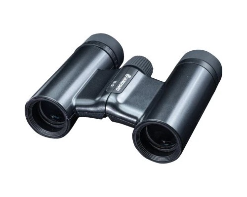 Бінокль Vanguard Vesta Compact 10x21 WP Black Pearl (Vesta 1021 BP)
