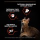 Сухий корм для кішок Purina Pro Plan Sterilised з лососем 10 кг (7613036517164)