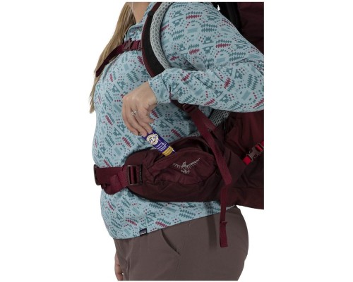 Рюкзак туристичний Osprey Aura AG LT 65 antidote purple - WM/L - фіолетовий (009.3291)